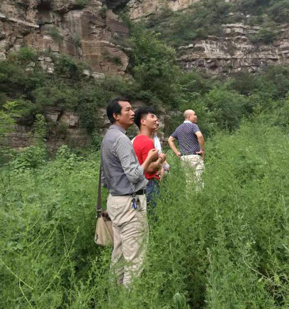 �߽��Σ����󣩎��W(xu��)��Ұ�⌍(sh��)Ӗ(x��n)